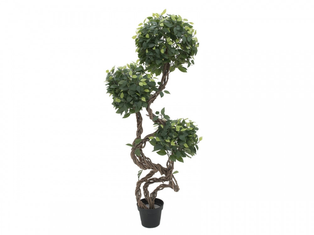 EUROPALMS Ficus Multi Spiralstamm,Kunstpflanze,160cm