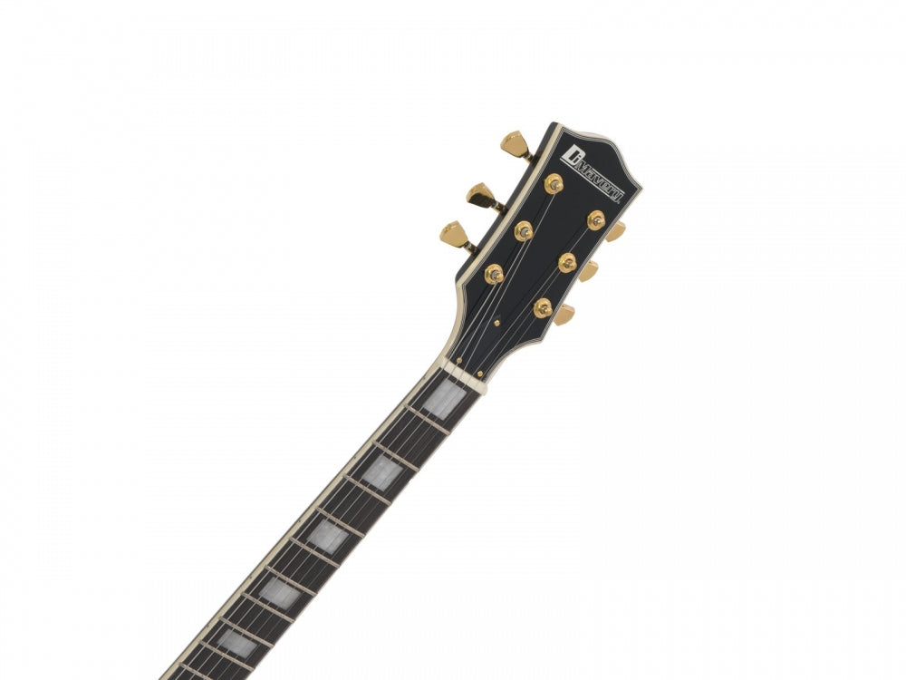 DIMAVERY LP-530 E-Gitarre,schwarz/gold