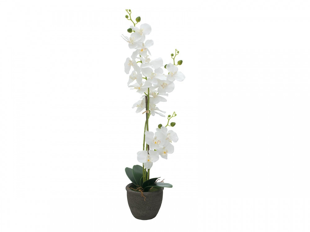 EUROPALMS Orchidee,Kunstpflanze,weiß,80cm