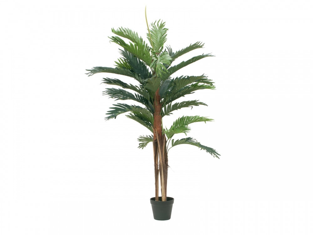 EUROPALMS Kentia Palme,Kunstpflanze,120cm