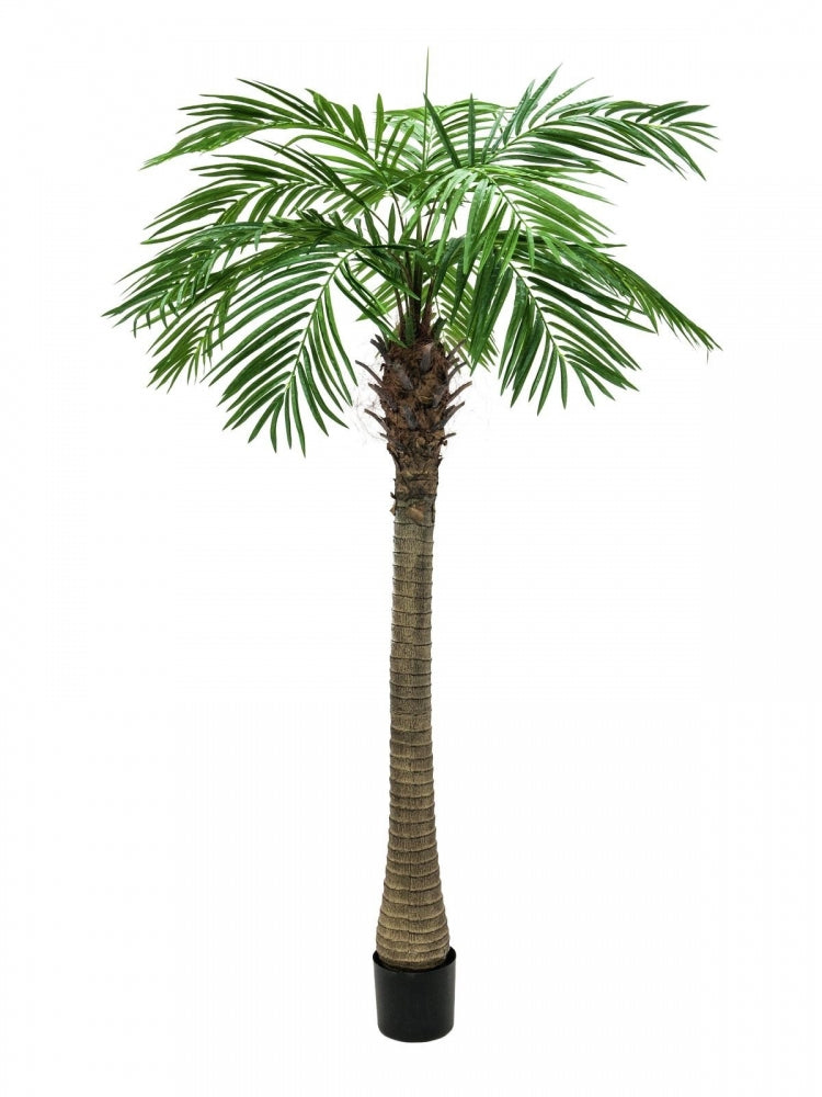 EUROPALMS Phönixpalme luxor,Kunstpflanze,300cm