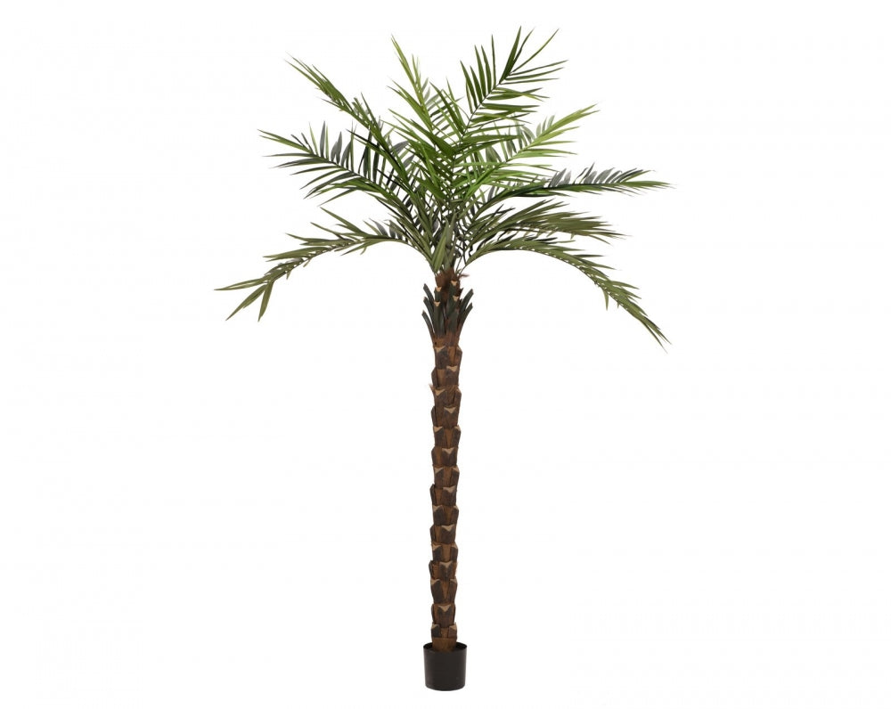 EUROPALMS Kentia Palme deluxe,Kunstpflanze  300cm