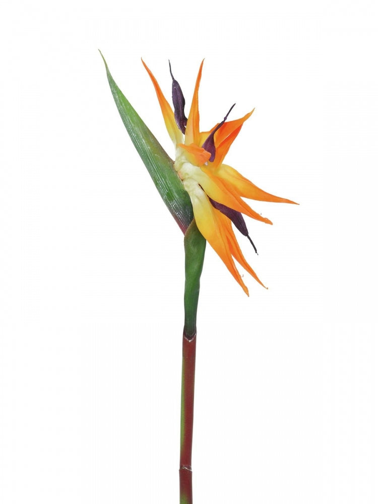 EUROPALMS Paradiesvogel-Blume,Kunstpflanze,orange,95cm