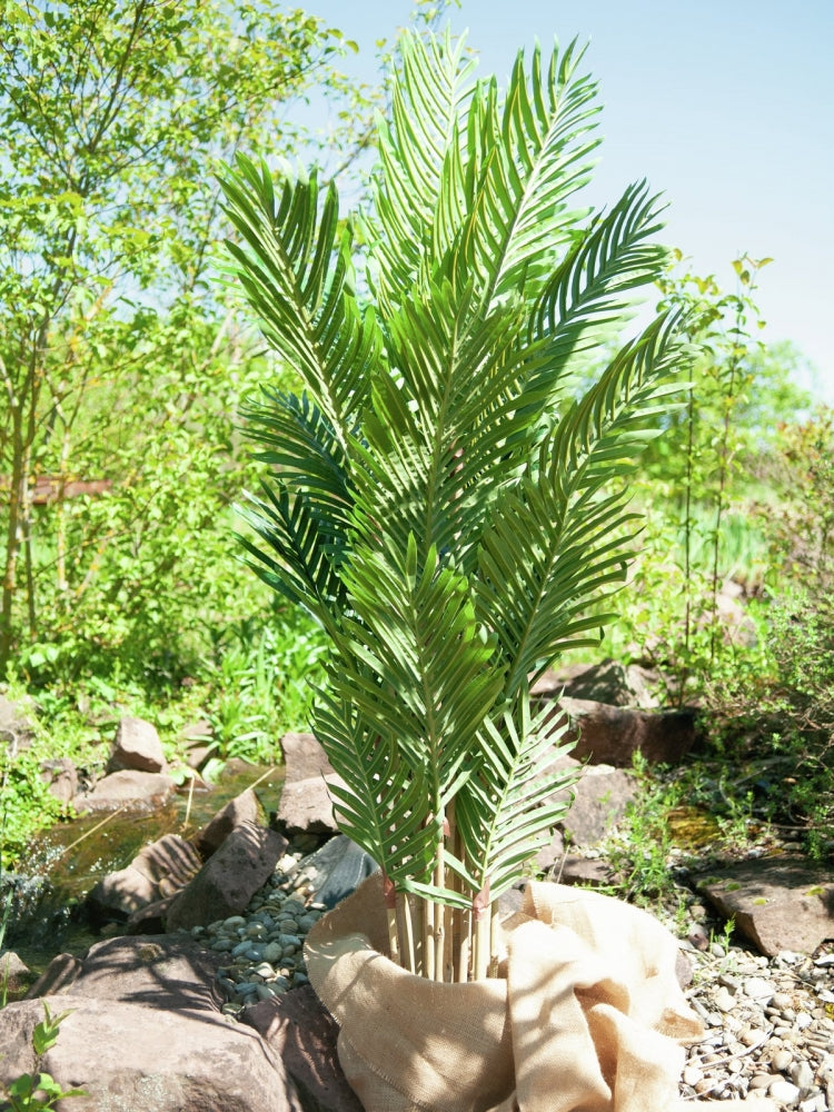 EUROPALMS Kentia Palme,Kunstpflanze,140cm