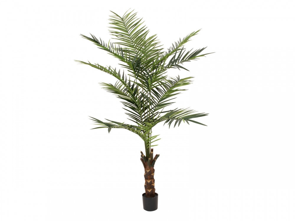 EUROPALMS Kentia Palme,Kunstpflanze,240cm