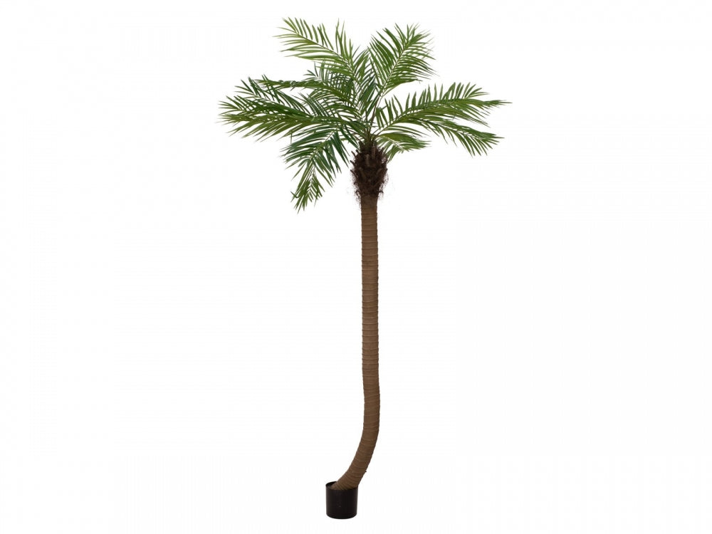 EUROPALMS Phönixpalme luxor gebogen,Kunstpflanze,240cm