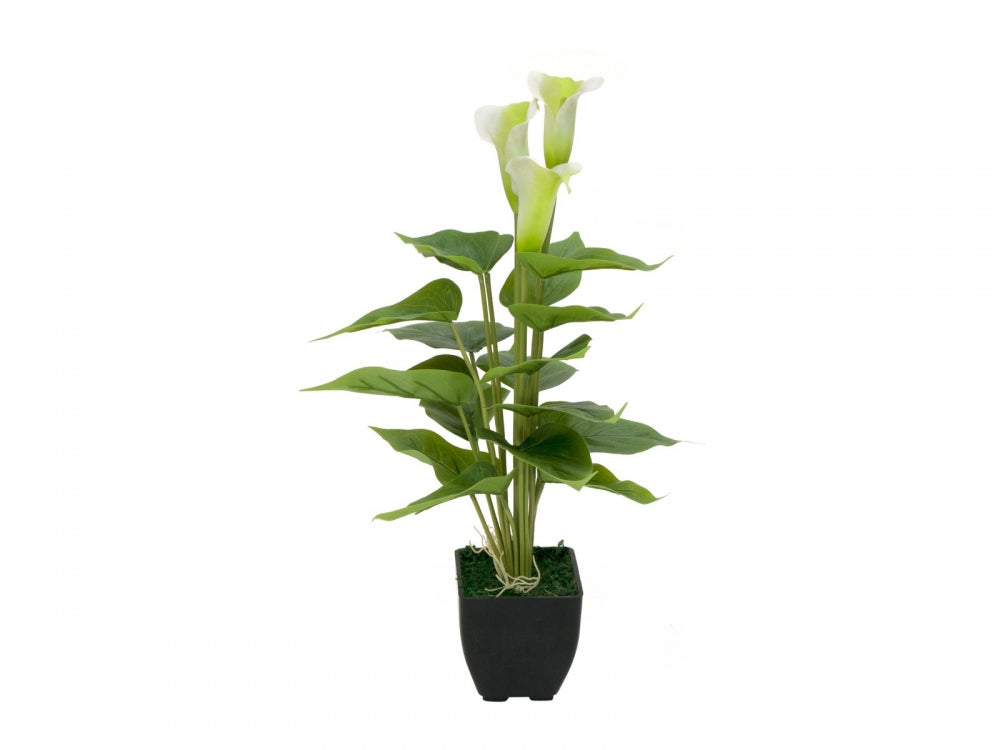 EUROPALMS Calla mini,Kunstpflanze,weiß,43cm