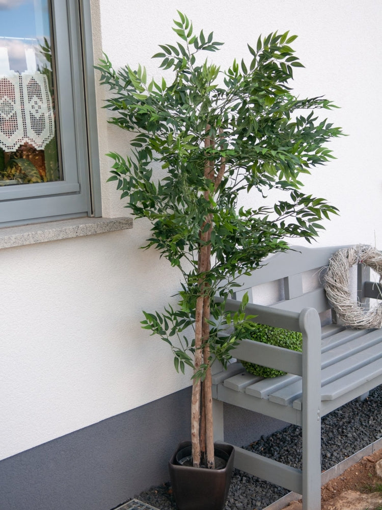 EUROPALMS Ficus Longifolia,Kunstpflanze,165cm