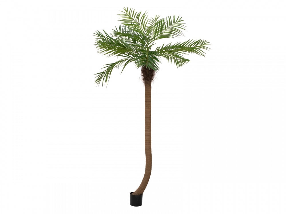 EUROPALMS Phönixpalme luxor gebogen,Kunstpflanze,240cm