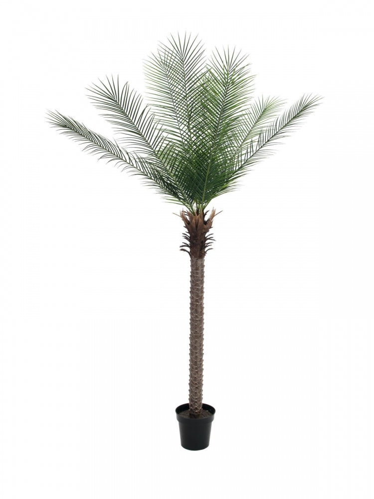 EUROPALMS Phönix Palme deluxe,Kunstpflanze  220cm