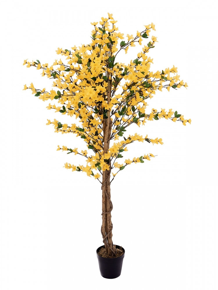 EUROPALMS Forsythienbaum mit 3 Stämmen,Kunstpflanze,gelb,150cm