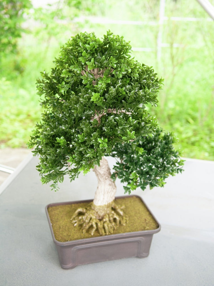 EUROPALMS Buchsbonsai,Kunstpflanze,61 cm