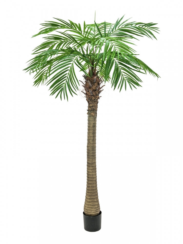 EUROPALMS Phönixpalme luxor,Kunstpflanze,240cm