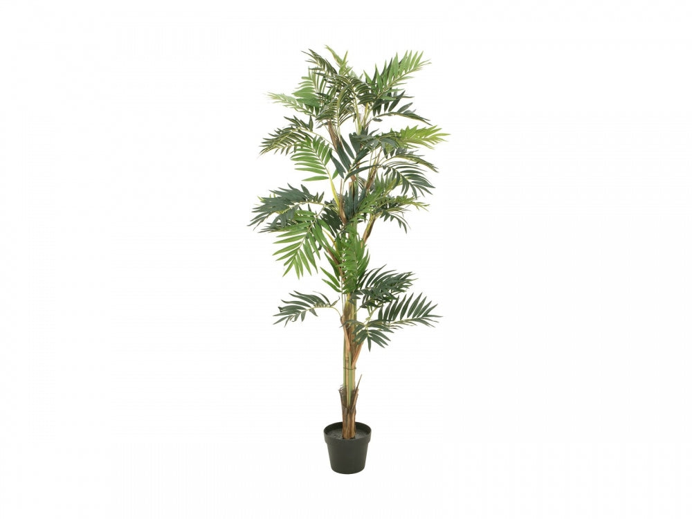 EUROPALMS Parlour Palme,Kunstpflanze,150cm