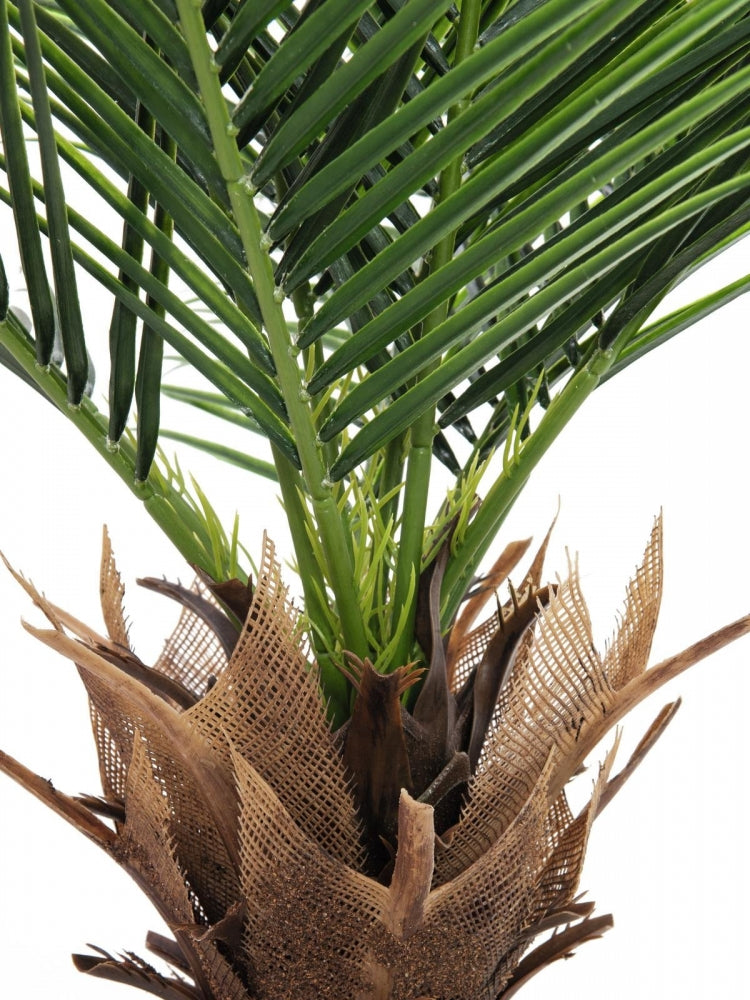 EUROPALMS Phönix Palme deluxe,Kunstpflanze  220cm