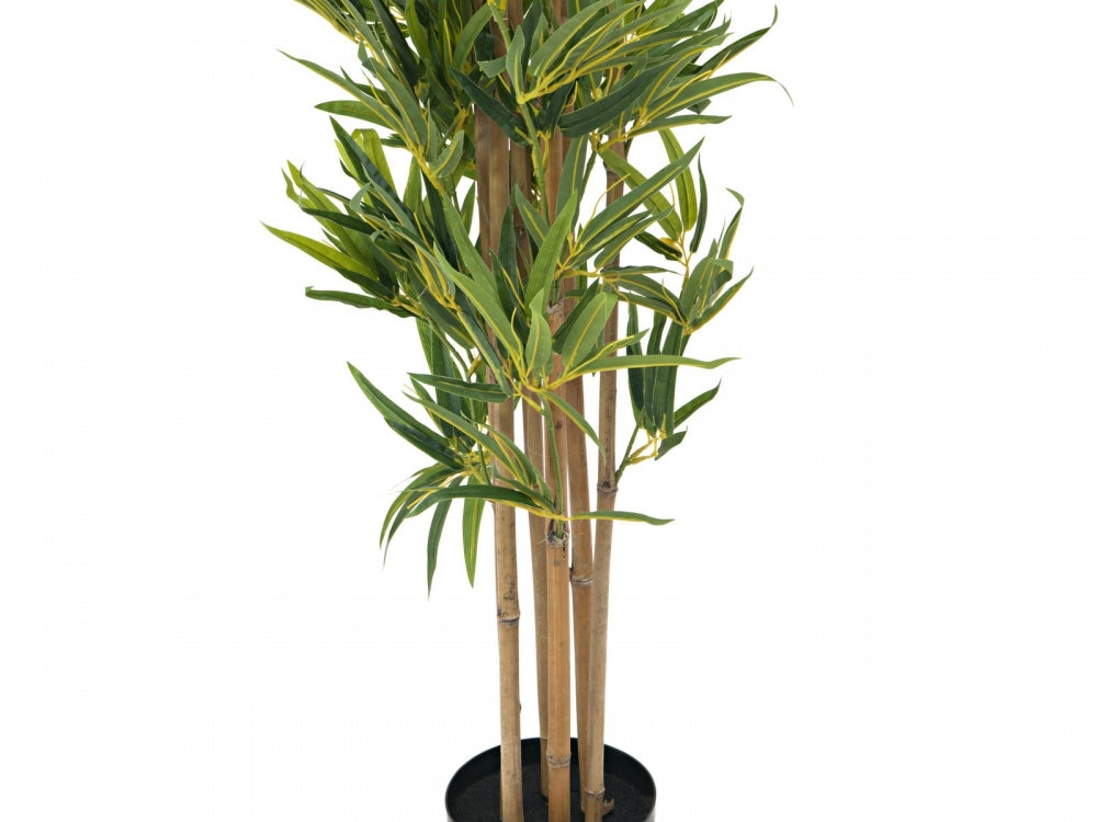 EUROPALMS Bambus deluxe,Kunstpflanze,180cm