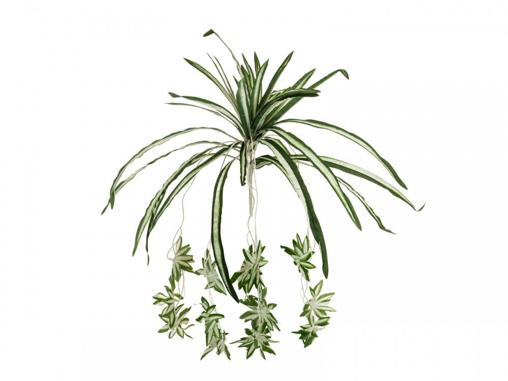 EUROPALMS Grünlilie,künstlich,60cm