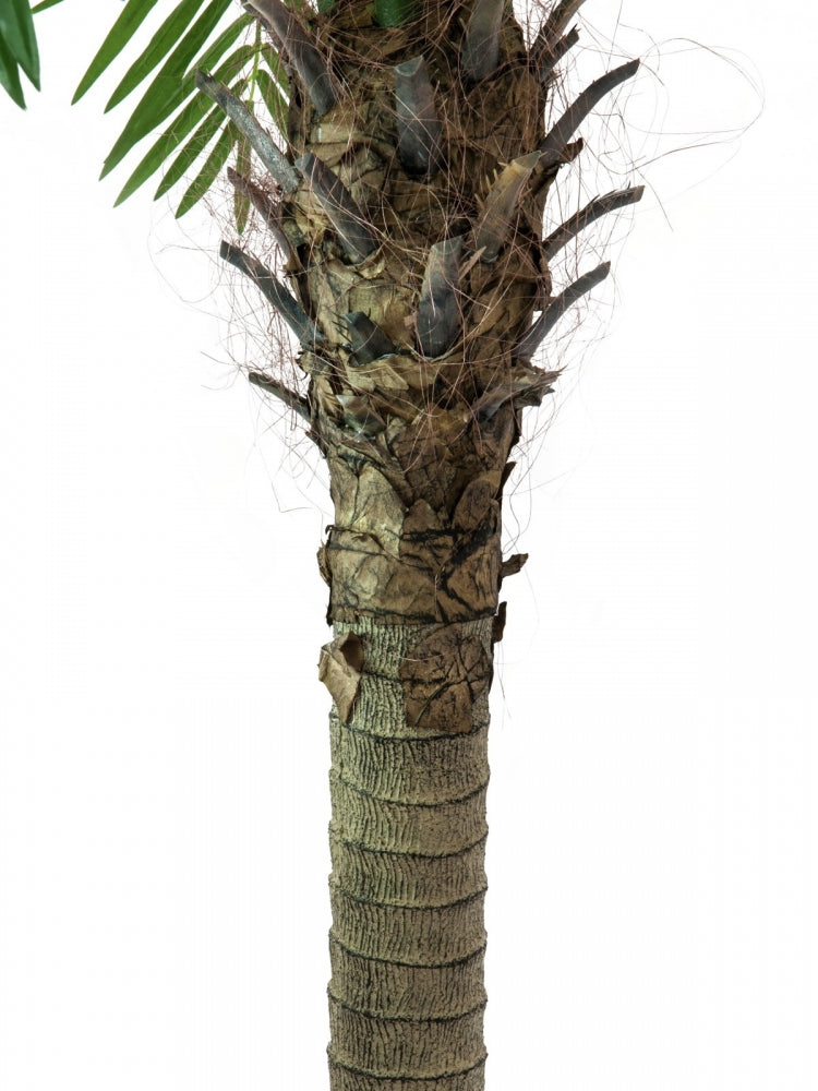 EUROPALMS Phönixpalme luxor,Kunstpflanze,210cm