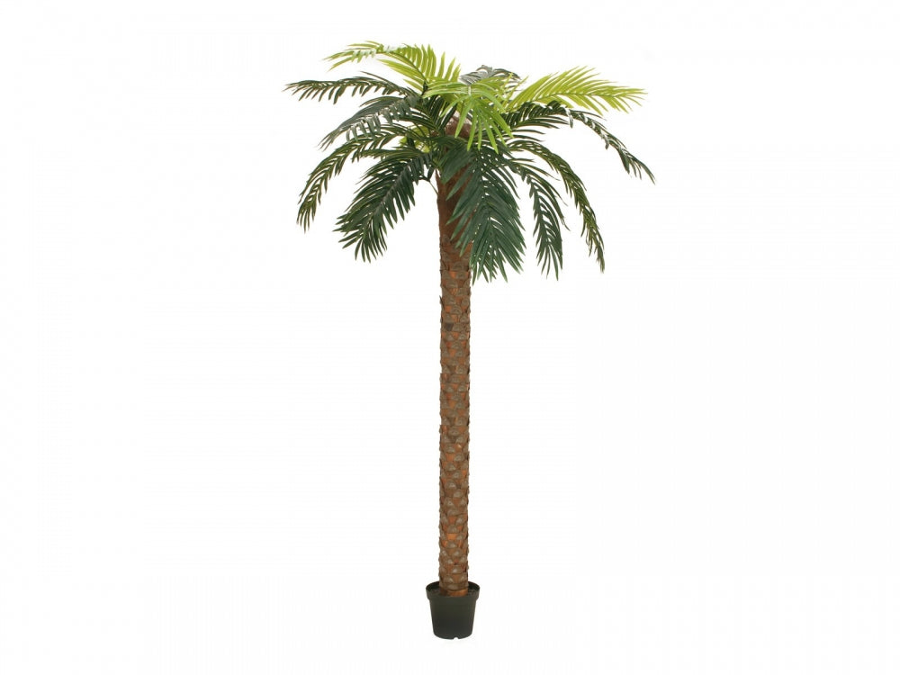 EUROPALMS Phönix Palme deluxe,Kunstpflanze,250cm