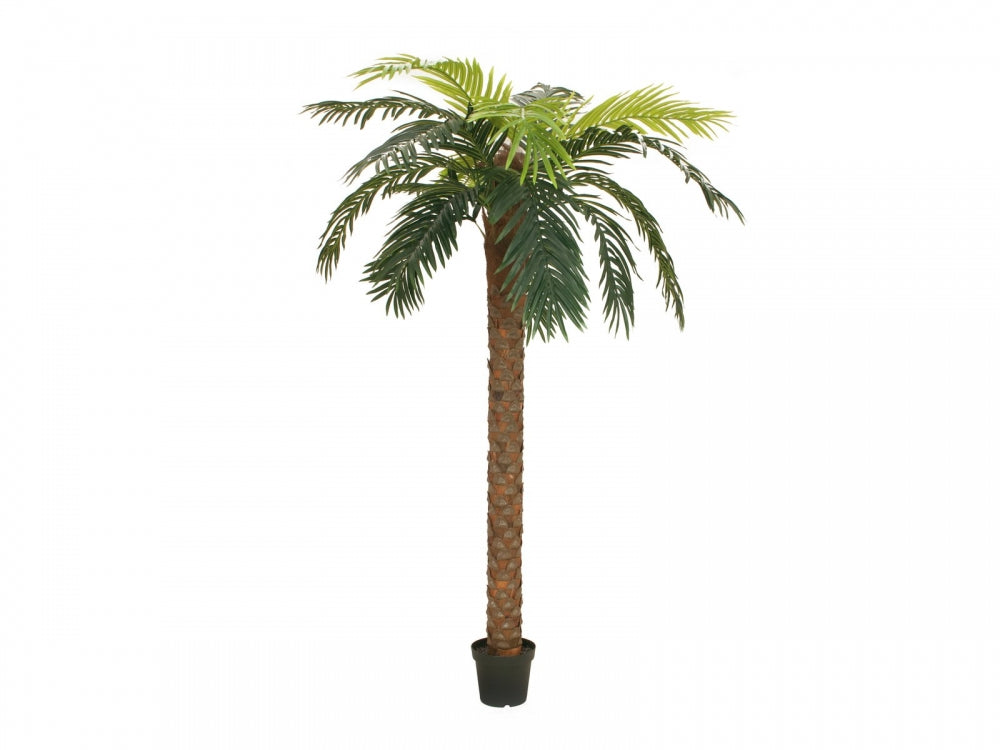 EUROPALMS Phönix Palme deluxe,Kunstpflanze,300cm