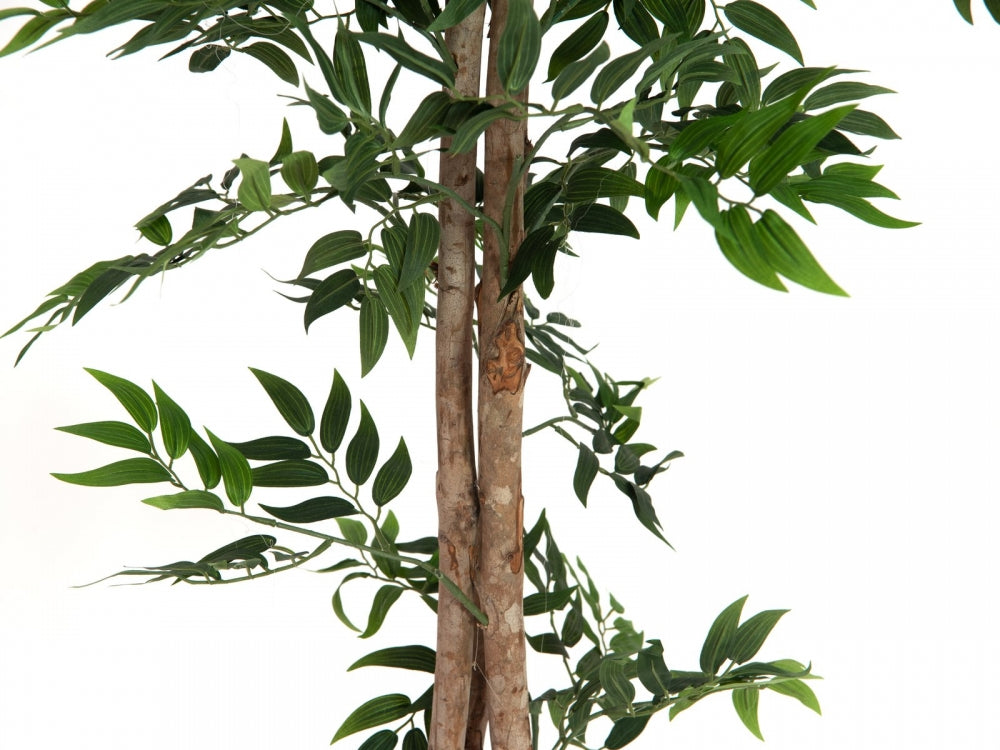 EUROPALMS Ficus Longifolia,Kunstpflanze,165cm