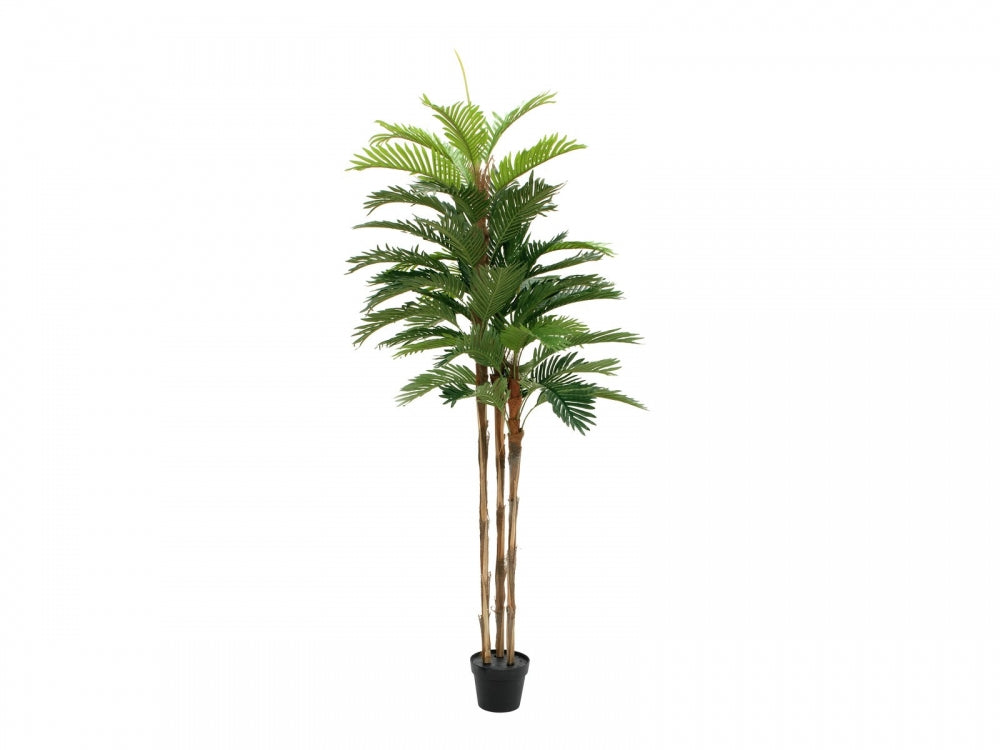 EUROPALMS Kentia Palme,Kunstpflanze,180cm