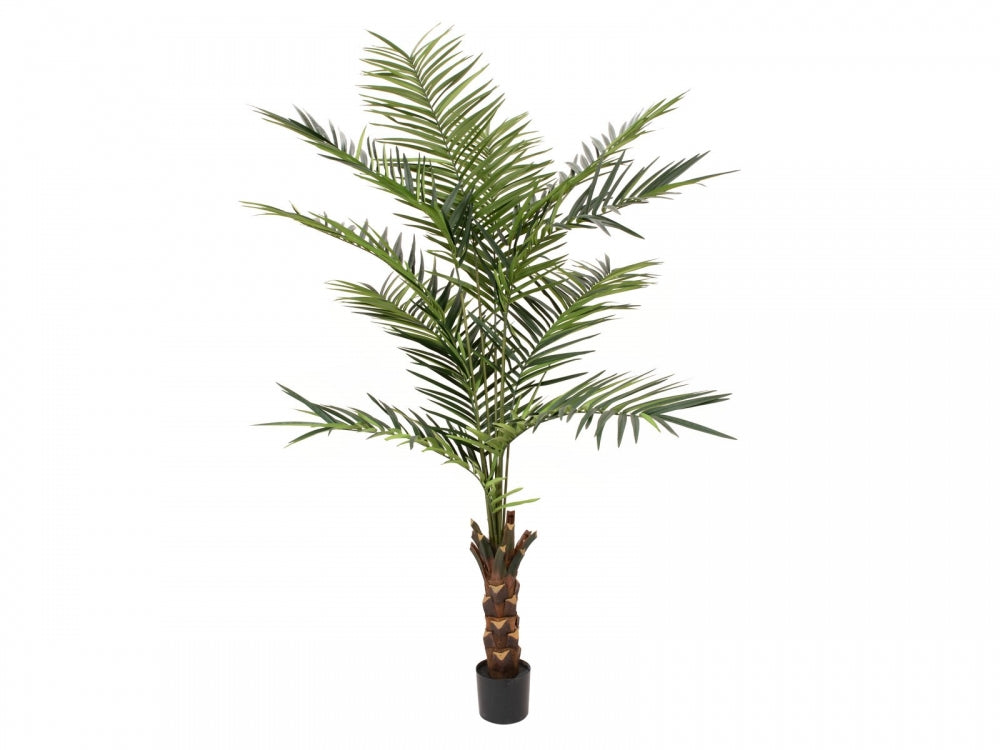 EUROPALMS Kentia Palme,Kunstpflanze,240cm