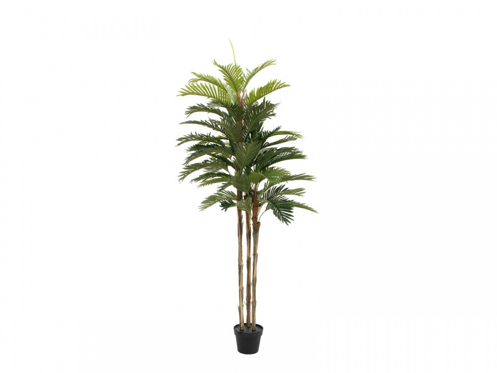 EUROPALMS Kentia Palme,Kunstpflanze,150cm