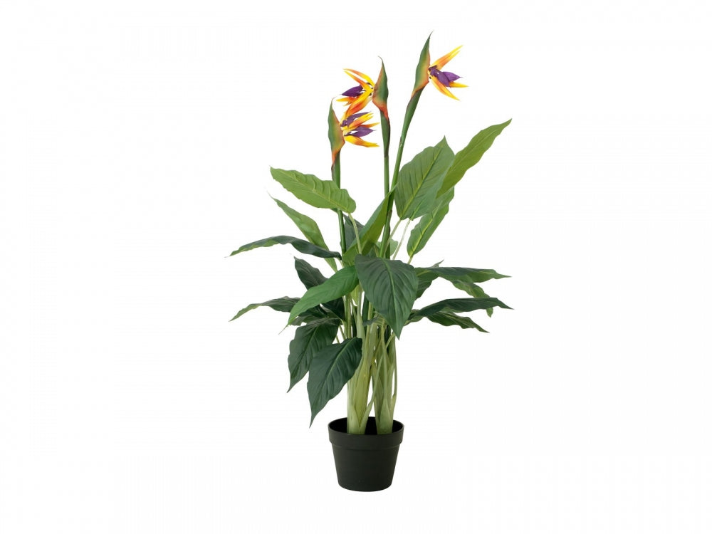 EUROPALMS Strelitzie,Kunstpflanze,90cm