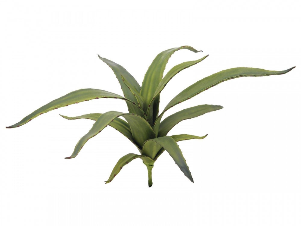 EUROPALMS Aloe (EVA),künstlich,grün,66cm