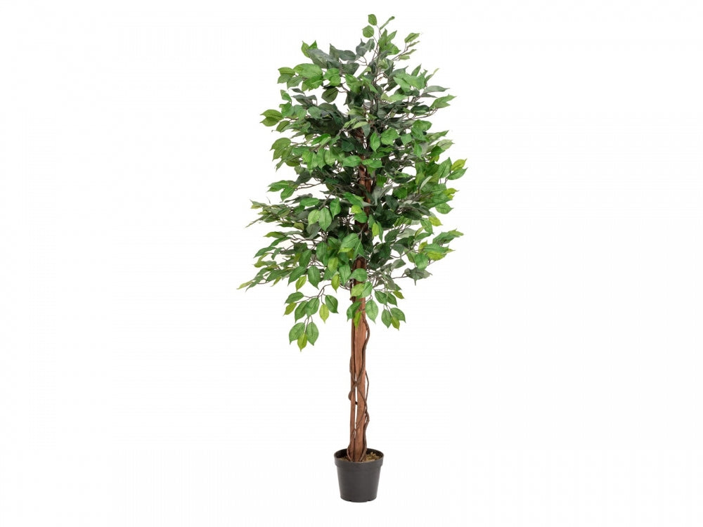 EUROPALMS Ficus-Benjamini Multi-Stamm,Kunstpflanze,150cm