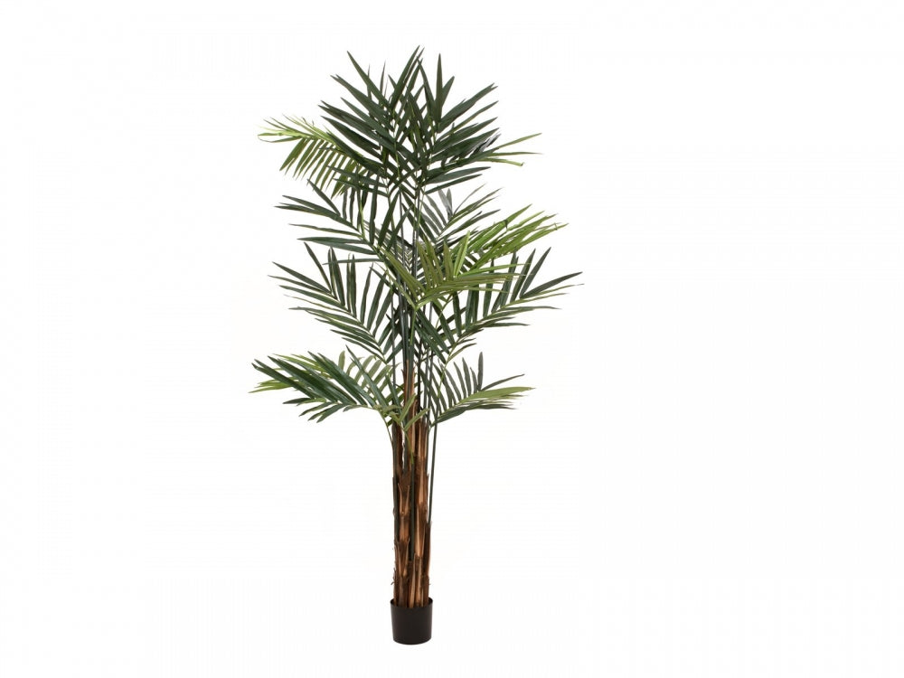 EUROPALMS Kentia Palme,Kunstpflanze,300cm