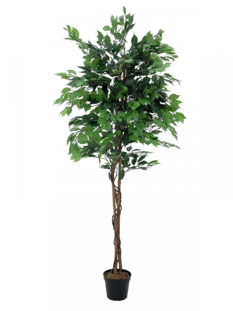 EUROPALMS Ficus-Benjamini Multi-Stamm,Kunstpflanze,210cm