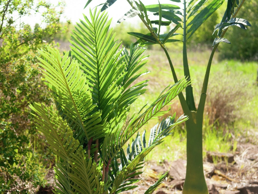 EUROPALMS Kentia Palme,Kunstpflanze,140cm