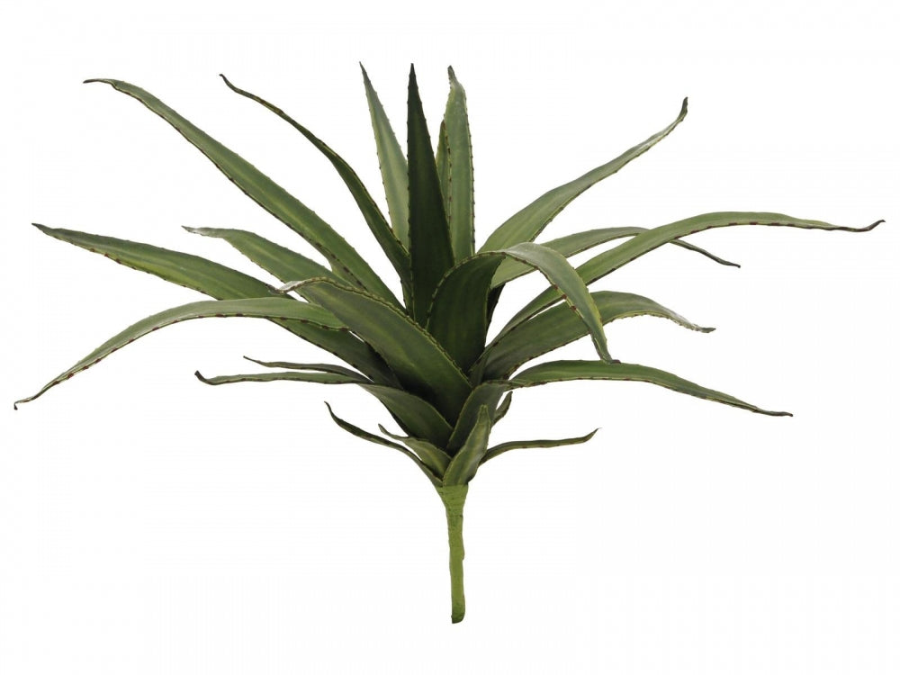 EUROPALMS Aloe (EVA),künstlich,grün,50cm