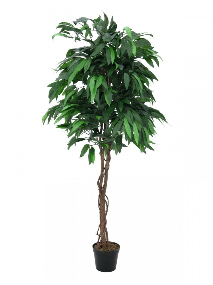 EUROPALMS Dschungelbaum Mango,Kunstpflanze,180cm